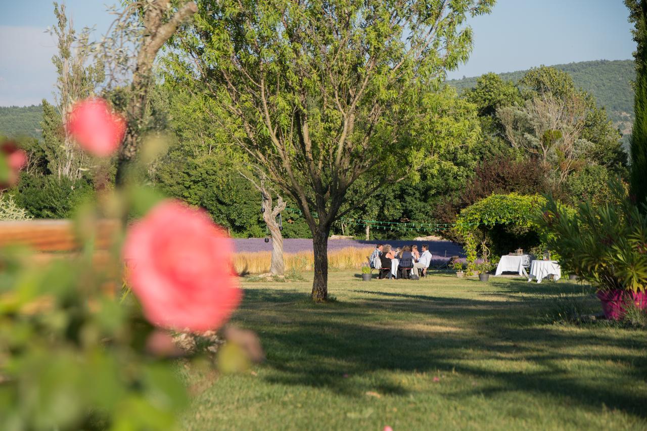 La Bastide Des Bourguets Adults Only, Mont Ventoux Bed & Breakfast Sault-de-Vaucluse Luaran gambar