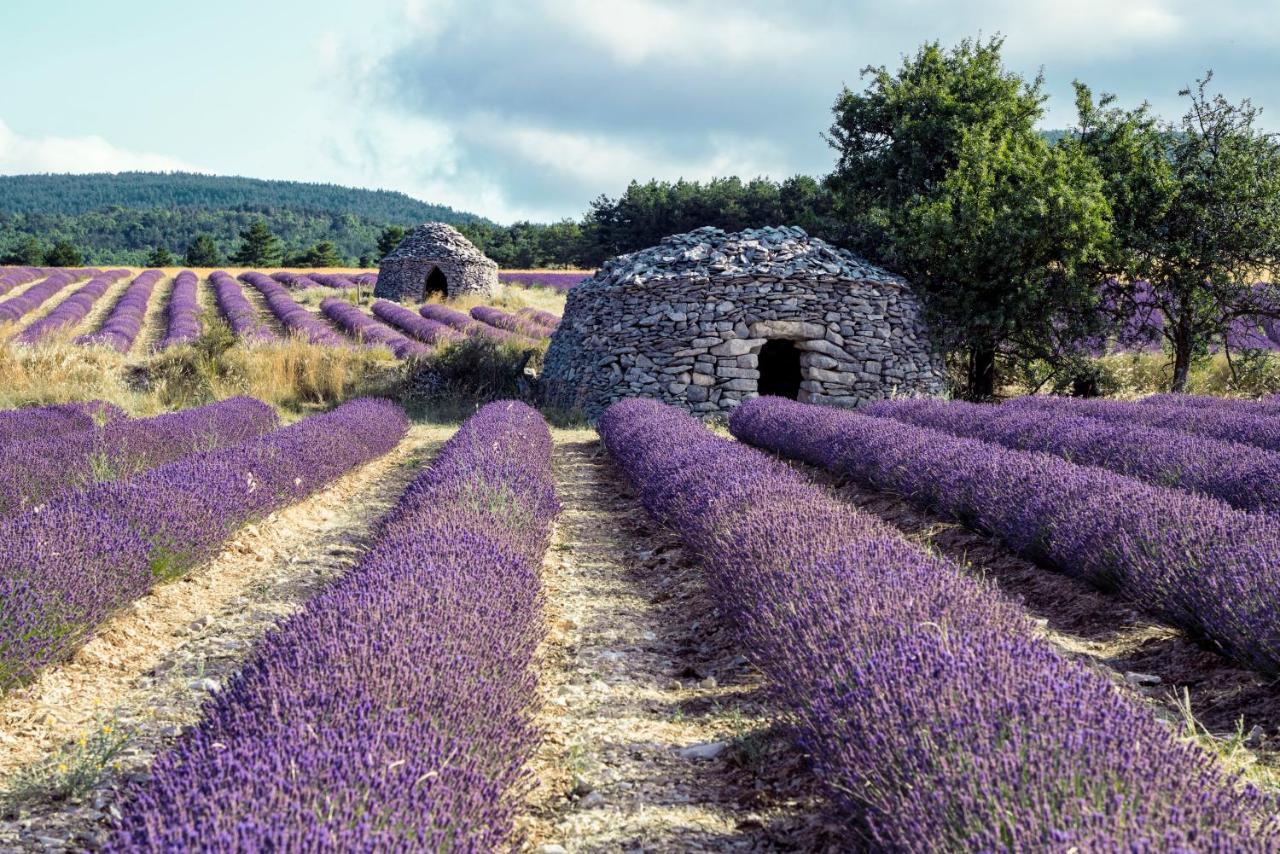 La Bastide Des Bourguets Adults Only, Mont Ventoux Bed & Breakfast Sault-de-Vaucluse Luaran gambar